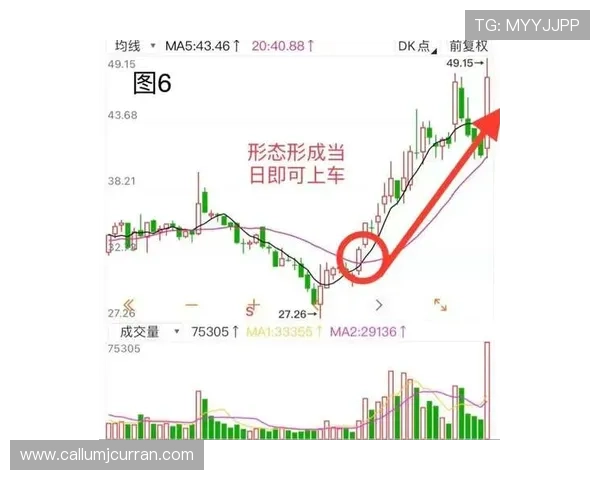 凯发旗舰厅官方地址在哪里，常见问题解答与地址确认技巧
