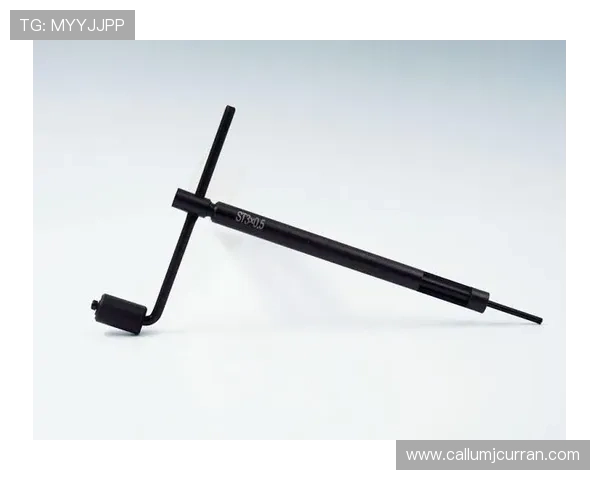 k8凯发一触即发旗舰：打造极致沉浸式游戏体验的秘密武器